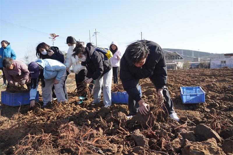 【医学技术系】我院医学技术系师生走进新密市米村镇中草药种植基地开展实践活动