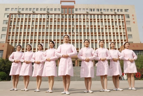 文明礼仪社简介