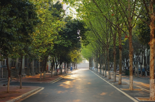 开云官方端网页版登录入口2025年《职业适应性测试》考试大纲及样题